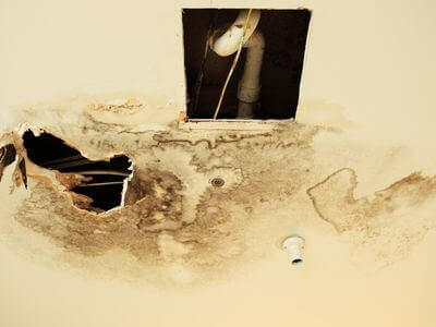 Professional water damage restoration services in Spring Hill - Riseworks Group